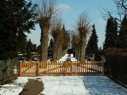 Friedhof Eingang Fuhsestr.